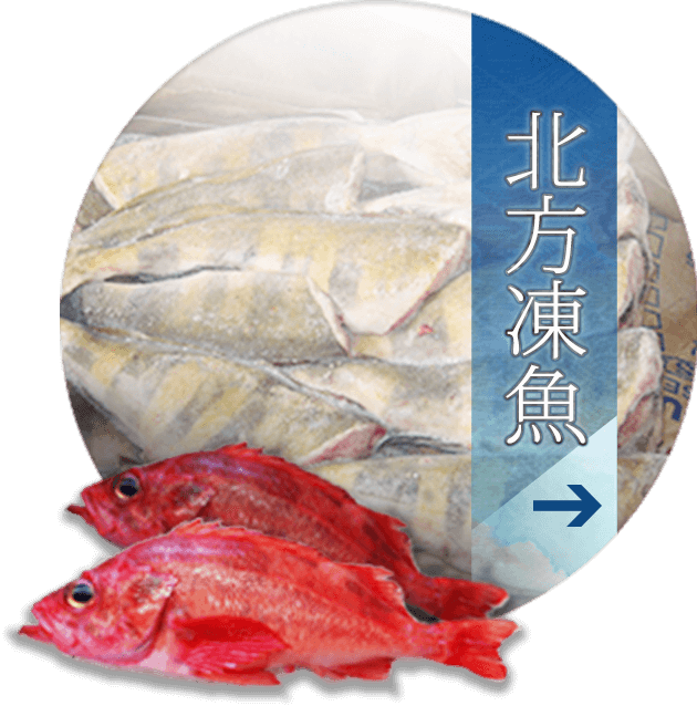 北方凍魚