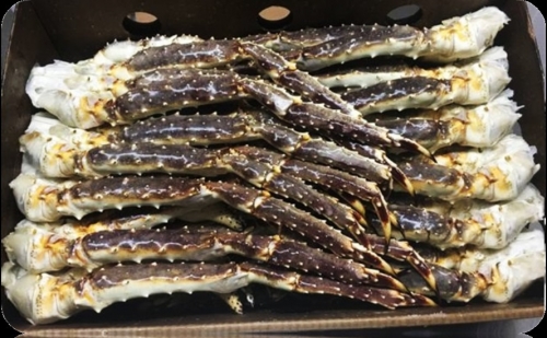 生冷凍タラバガニ 2lサイズ 9kg 業務用サイズ ショッピング 商品詳細 水産物輸入 流通 加工 販売 株式会社ダイレクト 生冷凍タラバガニ 2lサイズ 9kg 業務用サイズ ショッピング 商品詳細 水産物輸入 流通 加工 販売 株式会社ダイレクト